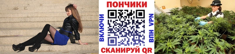 сколько стоит  Афипский  Бошки Шишки семена 